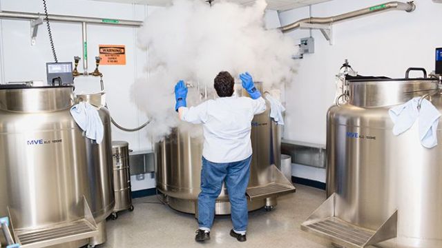 美国自然历史博物馆幕后鲜为人知的工作- NowJava.com/