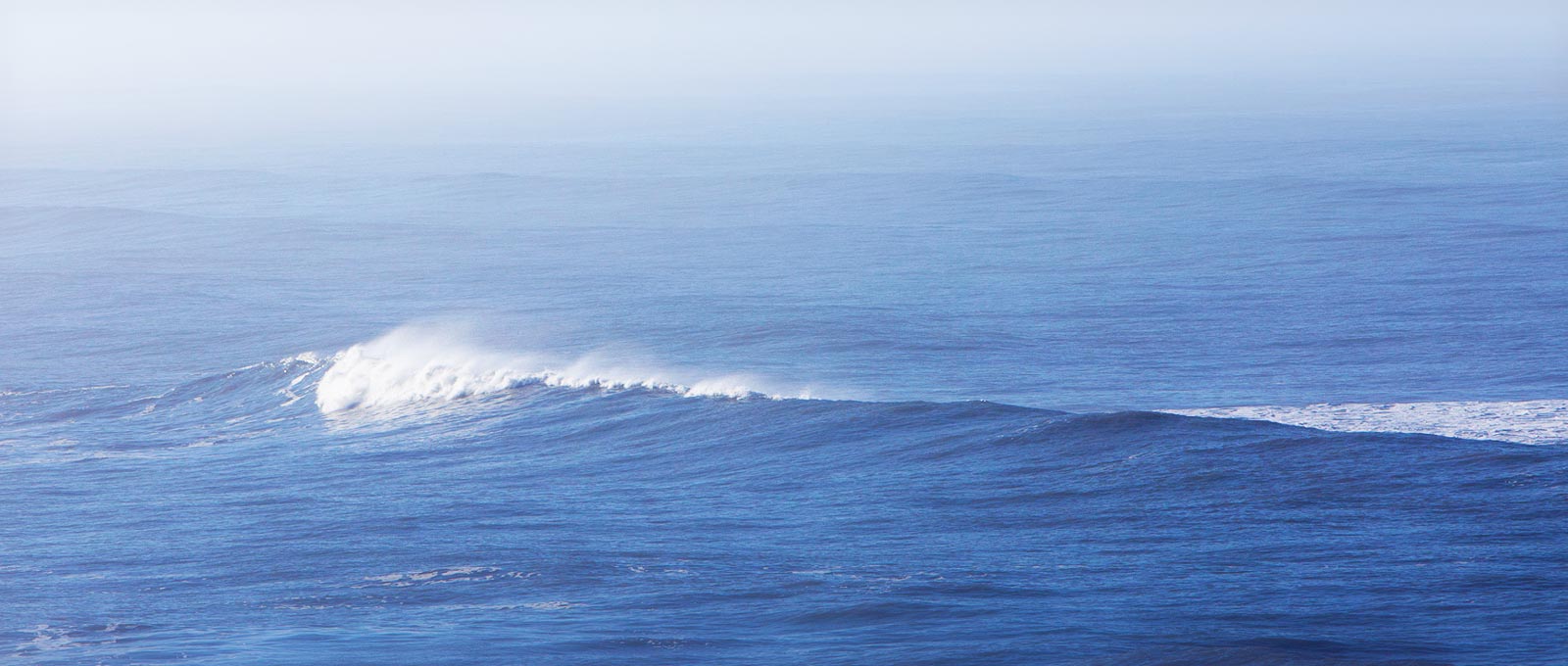 ΢�ƣ������