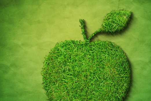 ����Ĺ��������ͻ����鼰�ҳ϶ȵõ���������Ʒ�Ƹ��Ǹ���