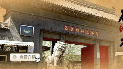 �����Ҳ��Ӧ����