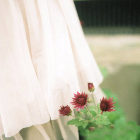 在青春之书里，我们同在一行字之间。被窝是青春的坟墓。关于少年时代，冷暖自如，是朴素的生活，与最遥远的梦想。这一切将在被回忆肆意篡改的书写下，渐渐抽象成一些雾一样的尘埃，浮在梦境之外的空茫黑暗中，日日夜夜不停坠落，终会尘埃落定。