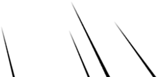 ��Ѷ������