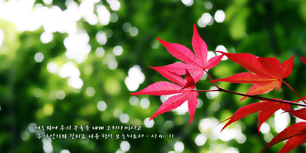 ���Ǳ�����