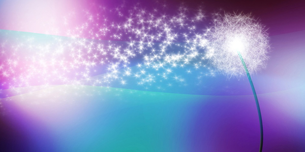 ���Ǳ�����