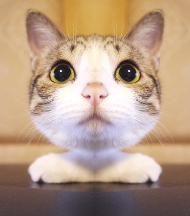 ʱ��Java - NowJava.com