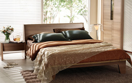 WordPress���Ĳ�������Truepixel