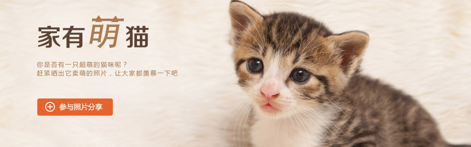 ������ͼƬ