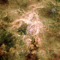 Tarantula Nebula