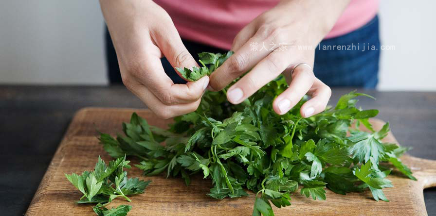 Share your Food Sense