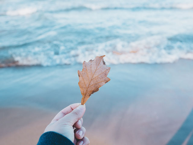 深潜：王石的创业